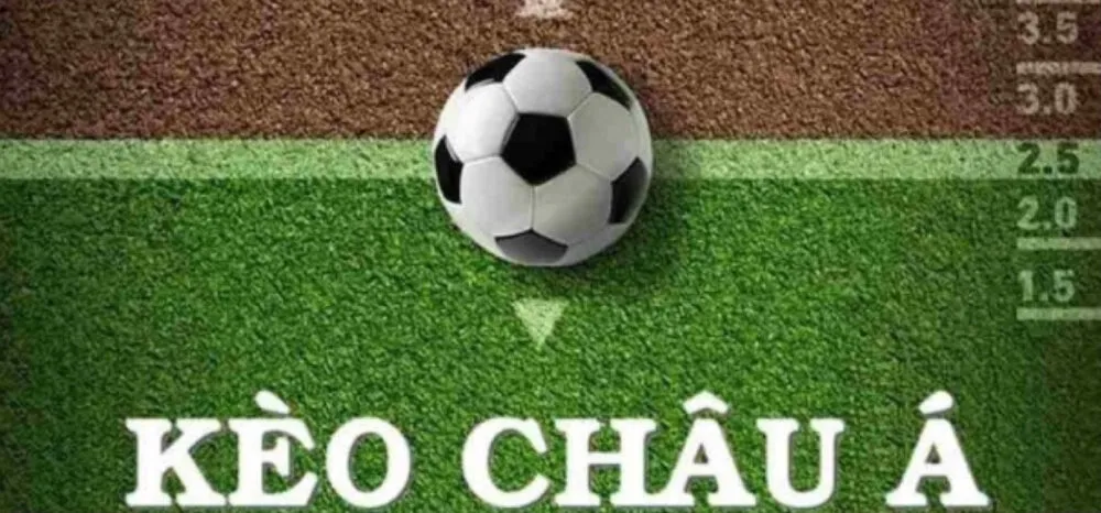Kèo châu Á được bộ phận cược thủ Việt Nam lựa chọn